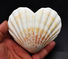 Set Of 3 Heart Shaped Natural Scallop Shells  4   Beach Crafts Coastal Decorate