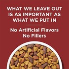 Purina Dog Chow Complete Adult Dry Dog Food  High Protein Real Beef  44 Lb Bag