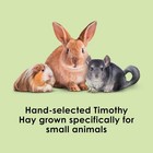 Timothy Hay  12lb High Fiber For Rabbits   Guinea Pigs