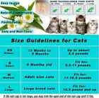 Victhy 120pcs Cat Nail Caps  Colorful Pet Cat Soft Claws Nail Covers For Cat Cla