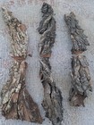20 Lb Cottonwood Bark For Hand Carving Wood Spirits 6 Thick Pcs Fremont Bark