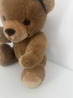 Vintage Eden Toys Inc 15    Plush Posable Tan Brown Teddy Bear Made In Korea