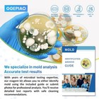 Diy Mold Test Kit For Home     7 Complete Tests For Black Mold  Hvac   Air Quality