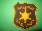Wayne County Michigan Sheriff Police Patches  2 Verions one New   One Used 