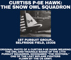 Curtiss P-6e Hawk 5x7 Photo  17th Pursuit Squadron  snow Owl   Selfridge Field