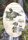 Loon Static Cling Window Decal New Oval 8x12 Vinyl Wild Ducks Glass Door Decor