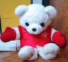 Dan Dee Christmas Collector 2016 Plush Teddy Bear White Snowflake Red Jacket 21 