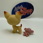 Chihuahua Dog  1 - Authentic Littlest Pet Shop - Hasbro Lps