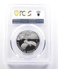 2000-w  100 American Platinum Eagle 1 Oz Pr70 Dcam Pcgs  2635