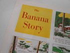 1959 Chiquita Bananas  united Fruit Co Brochure  The Banana Story