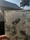 Antique Vintage Stained Glass Window Panel Piece 6 X 10    Snowflake Privacy Glass