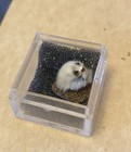 Dollhouse Miniature Artist Made Furry Tiny Hedgehog 1 12 Scale About 1 4 