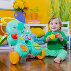 New Bright Starts Stroll  n Roll 2-in-1 Ball Play Walker Sounds 6mo 