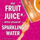 Izze Sparkling Juice 4 Flavor Variety Pack 8 4 Fl Oz 24 Count Cans No Sugar