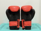 Everlast Powerlock 2 Pro Hook And Loop Training Boxing Gloves 14oz Leather