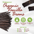 50 Madagascar Vanilla Beans Grade A Organic Bulk 5  Pods For Extract Baking Non-