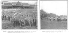 An Elephant Drive  The  sport Of Kings  In Siam -  6 Vignettes  - 1907
