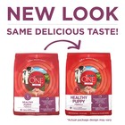 Healthy Puppy Dry Dog Food  Chicken Flavor  16 5 Lb Bag  High Protein  Nutrient-