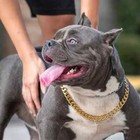 Pet Dog Cat Collar Gold Plated 10mm 16    24  Miami Cuban Chain Fashion Necklace