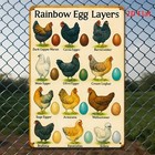 Retro Distressed Metal Sign Chicken Breed Art Home Wall Accent Decoration Gift