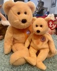 Sunny Ty Beanie Baby And Buddy Set       