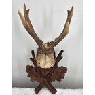 1930s Vintage Black Forest Antler Mount Wall Decor 11in Brown Roe Deer Oak