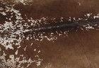 New Cowhide Rugs Area Cow Skin Leather 18 06 Sq feet  51 x51   Cow Hide U-1385