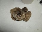 Real Wasp Nest Large 8    Natural Yellowjacket Hornet Nest 