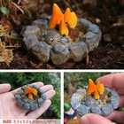 Miniature Garden Fairies Figurines