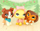 3x Lps Orange Dachshund Short Hair Cat Collie Kids Cute Gift Collect Toys Figure