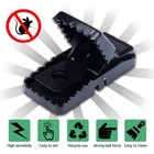Mouse Trap  Mice Traps That Work Best Snap For 6 Pack Traps  Black