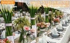 Glass Cylinder Vases 4  6  8  10 Inch Tall Clear Flower Vase Hurricane Floating