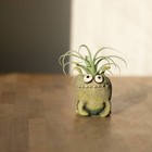 Bloomies Orbit Planter    Blob House Planter