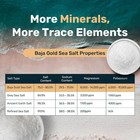 Baja Gold Mineral Sea Salt  Fine Grind  1 Lb  Bag