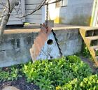 Vintage Rustic Reclaimed Barn Wood Wren Birdhouse With Metal Roof For Outdoor
