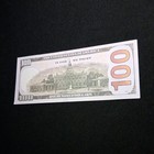 1 Maga Donald Trump  100 Bills