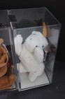 Vtg Ty Beanie Babies Lot 5 Authenticated True Blue Beans Sealed Cases I4