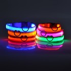 Led Light Up Dog Collar Nylon Pet Safety Collar For Night Walks Multiple Sizes C