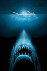 1975 Jaws Movie Poster 11x17 Martin Brody Quint Great White Shark         