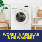 Washing Machine Cleaner With Odor Blasters  4 Count