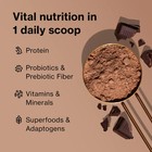 Shakeology Chocolate Vegan Protein 30 Serving Bag