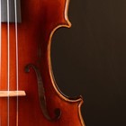 Oil Anti  A Best Model Flamed Violas 18   Body Length 462mm