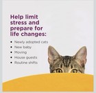 Comfort Zone 6 Pack Multicat Diffuser Refills  Cat Calming Pheromones