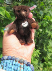 Vintage Steiff Mohair Teddy Bear Chocolate Brown Club Gift Miniature 4  Toy Box