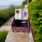 New    to My Mom    Handmade Wooden Hand Wind Up Music Box
