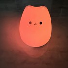 Led Cat Night Light Battery Powered Night Light For Kids Silicone Multicolored
