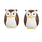 Brown Owls Salt And Pepper Shaker Set Large Ceramic Birds Tableware Decor
