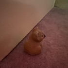 Koala Figurine Decorative Collectible Animal Figurine
