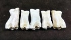 5 Buffalo Bison First Phalanges Foot Knuckle Bones