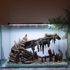  scape-101  Nature Aquarium Aquascape Driftwood    9 3 Gallons
